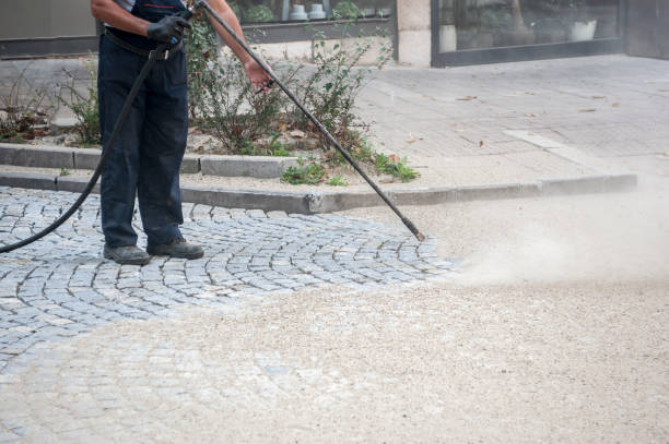 Best Animal Enclosure Cleaning  in Wharton, NJ